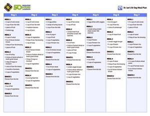 Keto Diet Plan for Losing Weight